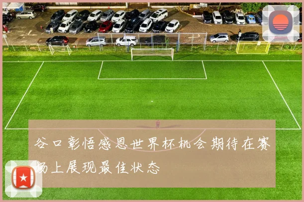 谷口彰悟感恩世界杯机会期待在赛场上展现最佳状态