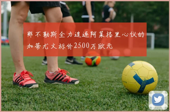 那不勒斯全力追逐阿莱格里心仪的加蒂尤文标价2500万欧元